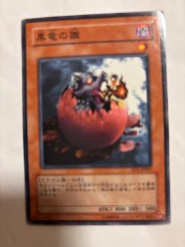 遊戯王【闇・黒竜の雛】