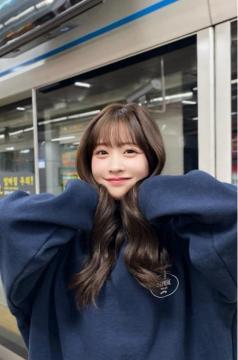 �N��D�� ���p Supreme �N���[�l�b�N �X�E�F�b�g �g���[�i�[ L 24AW 24FW �v���_�D����