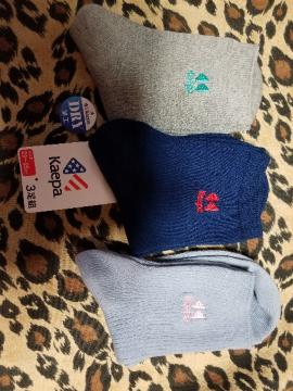 PCp kaepa fB[XC܂Ƃߔ 3B艿~