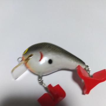 15oO[NNxCg