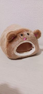 Vi@nX^[@xbh@ۉ@܁@xA@LN}