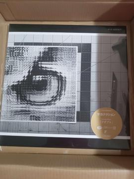 �T�J�i�N�V���� Adapt �A�_�v�g Concept Album 2LP ���R�[�h VIJL-60416/7