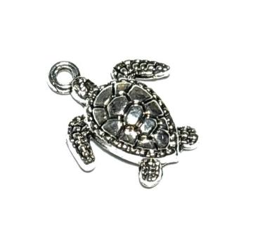 557  F̋T@1@߁@J@zk@p[c@ANZT[`[