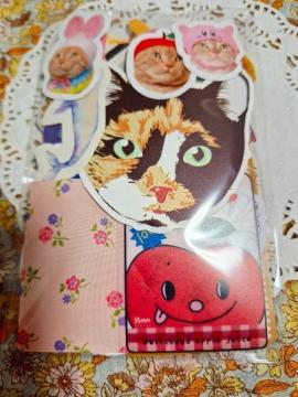 �����������t���[�N�V�[��100����30