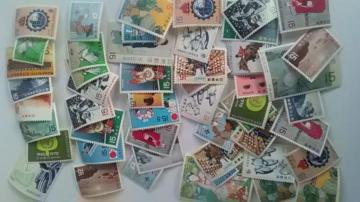 15~؎50Vigpi  1550[AZ