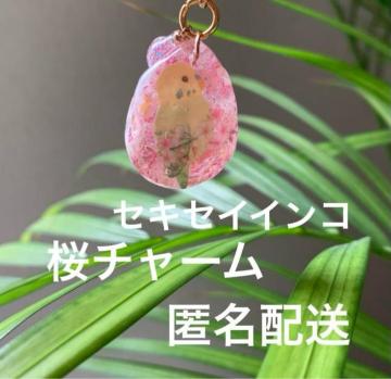 ZLZCCR@`[@B  