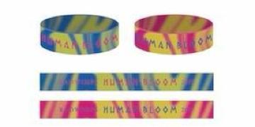RADWIMPS HUMAN BLOOM VRoh