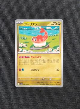 �|�P�J�@�ό��̉��ʁ@�V�����^�c