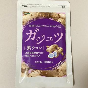 ガジュツ 紫ウコンサプリメント約3ヵ月分 美容 健康 ダイエット お酒