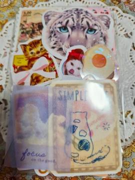 �����������t���[�N�V�[��100����34