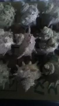TUGLk9