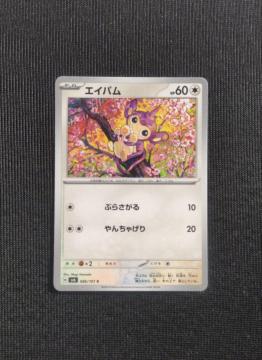 �|�P�J�@�ό��̉��ʁ@�G�C�p��