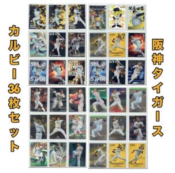 �y36���Z�b�g�z��_�^�C�K�[�X �v���싅�`�b�v�X �J�[�h