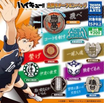 �w�n�C�L���[!! TO THE TOP�x���ɒB�H�ƍ��Z�����Z���`�[�t�s���o�b�W