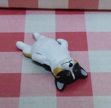 @p_̌ZooZooZoo1.5mSPVer