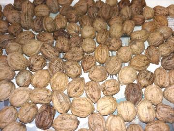 쌧YӓN~1kg