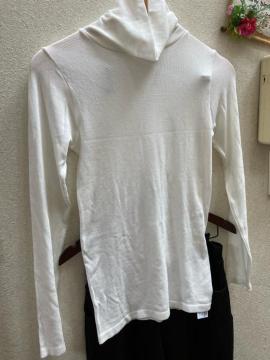 LL�V�i�t�@�C�o�[�q�[�g�����u�^�[�g��