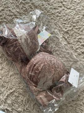 �V�i���g�p�u��