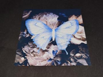 Aimer Hall Tour 18/19  hsoleil et pluieg  MTC AiU[WPbg