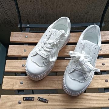 Vi 22.5cm fB[X Xj[J[ zCg V[Y C 