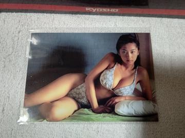 ���ϲ��  ���ʐ^  �D��