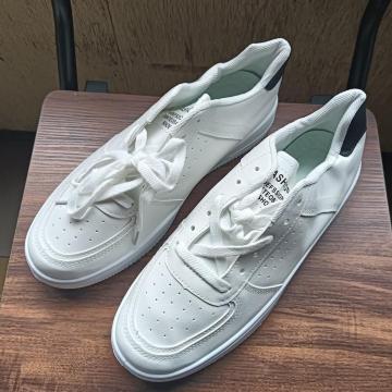 Vi 25cm Y fB[X Xj[J[ V[Y C zCg jp