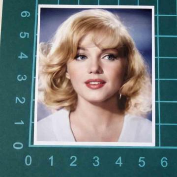 �}�������������[�@�i�`�������\��@�X�e�b�J�[