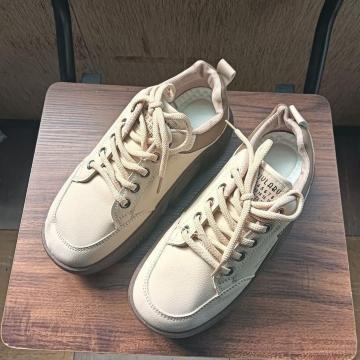 Vi 23.5cm fB[X Xj[J[ x[W V[Y C JWA