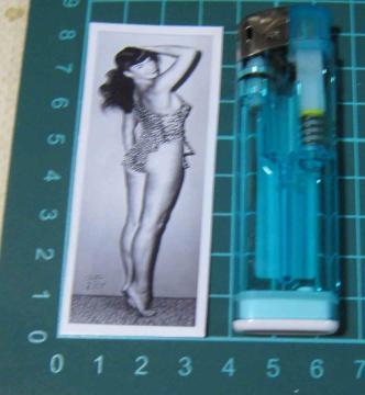 �x�e�B�E�y�C�W�@���@�X�e�b�J�[