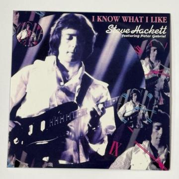 Steve Hackett / I Know What I Like
