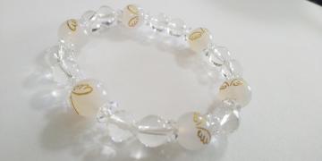 ��`�O������W�J���Z�h�j�[�V�g�̉H����E�������V�R�΃u���X