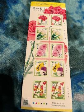 ؎@t̍ʂ@63~ 1V[g@gp@10@V[