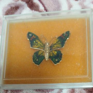 �X�e���h�O���X���A���̃u���[�`�@���a���g��