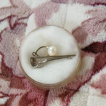 ���̕s���A�N�Z�T���[�l�ߍ��킹�@���a���g��