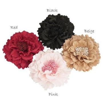 �_���A���`�[�t BIG�t�����[ �R�T�[�W�� �x�[�W�����V�i