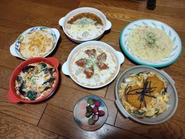 食品サンプル サンプル リアルサイズ ピラフ カツとじ ドリア グラタン 漬物 見本 メニュー ランチ お店 インテリア