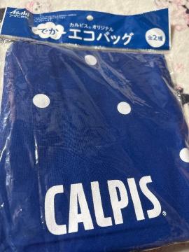 �J���s�X���I���W�i���ł��G�R�o�b�O