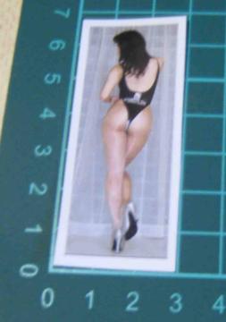 �Z�N�V�[�����̌��p�@�X�e�b�J�[