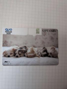 QUO�J�[�h 500�~ �q���f�U�C�� ���g�p �M�t�g�J�[�h �v���y�C�h�J�[�h ����