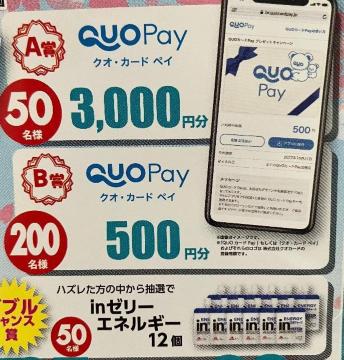QUO�J�[�hpay3000�~/500�~/w in�[���[12��/300���l5��