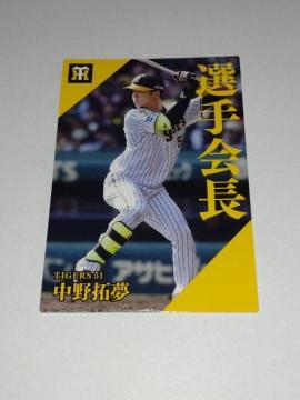 Jr[v싅`bvX2024 2e PL-01 _^CK[X 51 񖲑I I
