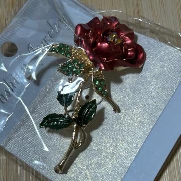 �u���[�` ���C���X�g�[�� �r�W���[ �K���X�X�g�[�� �t�H�[�}�� �A�N�Z�T���[�@�S�[�W���X