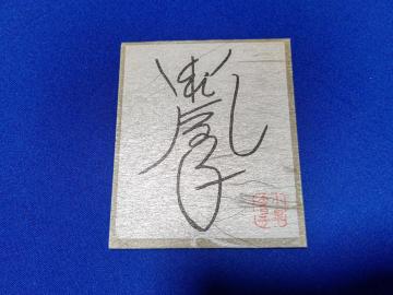 �ʉَq����ײ��޻�ݐF��  ���򍡓��q  ��ݷ��