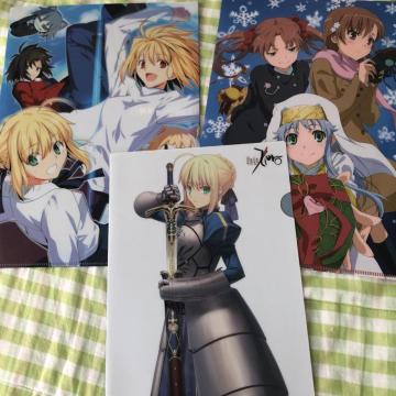 Fate type-moon NAt@C