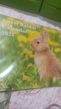 �Q�O�Q�U�N�r���������@Rabbit�J�����_�[