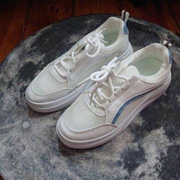 Vi 24cm fB[X Xj[J[ zCg V[Y C [Jbg