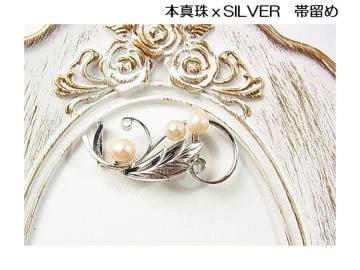 Ǖi@{^삘SILVER ї߁@Be[W