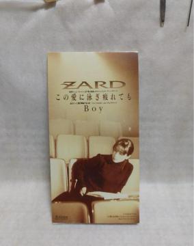 ZARDüɉjĂv