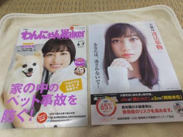 {ށ@ɂWalker@2020.6E7