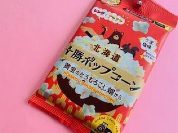 �d�q�����W��p�@�\���|�b�v�R�[���`�����̂Ƃ����낱����